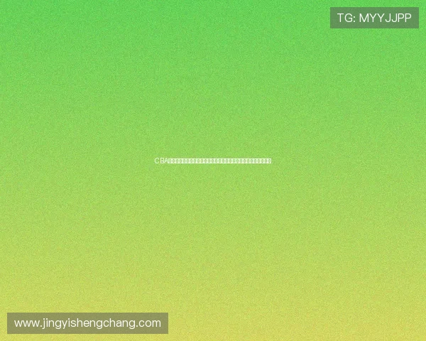 CBA雷速体育平台品牌认可度提升,成为篮球迷观赛数据查询首选工具